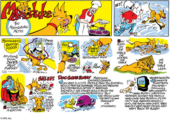marmaduke